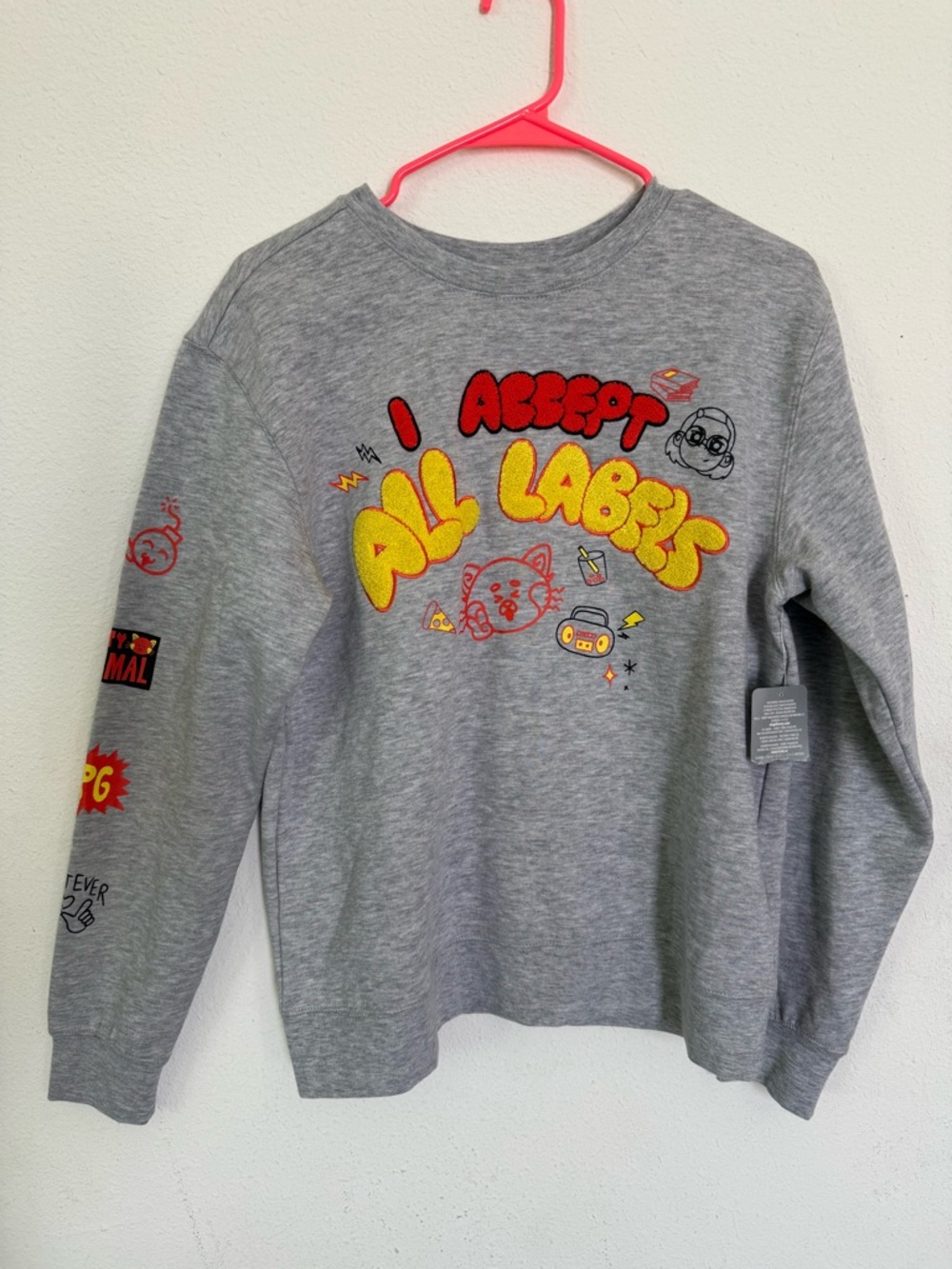 Disney Grey Sweatshirt with Yellow & Red Graphic "I Accept All Labels"